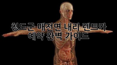 청도군 매전면 내리 렌트카 예약 완벽 가이드