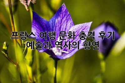 프랑스 여행, 문화 충격 후기: 예술과 역사의 향연 ✨