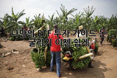나만의 ETF 투자 가이드: 돈 굴리기, 이젠 쉽게!