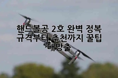 핸드볼공 2호 완벽 정복!🥇 규격부터 추천까지 꿀팁 대방출!