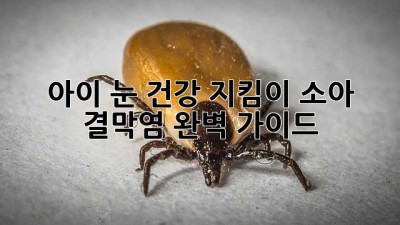 아이 눈 건강 지킴이: 소아 결막염 완벽 가이드