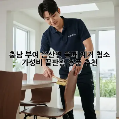 충남 부여 은산면 물때 제거 청소: 가성비 끝판왕 용품 추천!