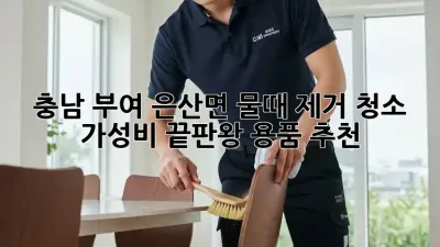 충남 부여 은산면 물때 제거 청소: 가성비 끝판왕 용품 추천!
