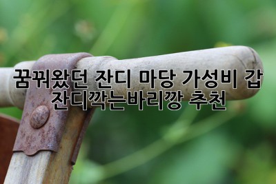 꿈꿔왔던 잔디 마당🌱 가성비 갑 #잔디깍는바리깡 추천!