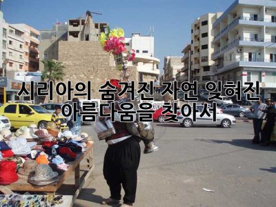 시리아의 숨겨진 자연, 잊혀진 아름다움을 찾아서